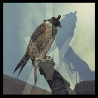 Wounded Hearts_Iceage