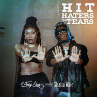 H.I.T(Haters In Tears)_Wendy Shay,Shatta Wale