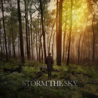 Hey, Faithless_Storm The Sky