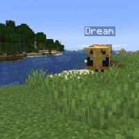 Dream Is A Bee_Faster