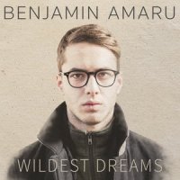 Wildest Dreams_Benjamin Amaru
