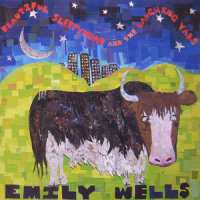 My Tin Car_Emily Wells
