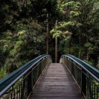 Relaxing Gems_Relaxing Spa Music,Spa,Relaxing Music Therapy