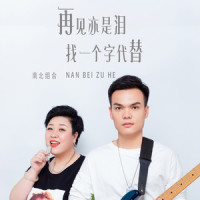 再见亦是泪 + 找一个字代替_南北组合