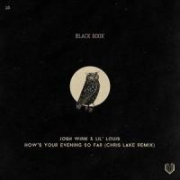 How's Your Evening So Far_Chris Lake,Josh Wink,Lil' Louis