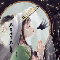 不负年华不负君_洛天依