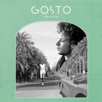 What Is It Like_GOSTO,Roel Vermeer,Will Knox,Benny Sings