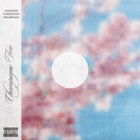 Champagne Free(feat. Shecallmexx)_Omar Kadir,Shecallmexx,Krayzie Bone