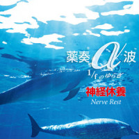 The Clear Sea_植地雅哉