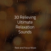Flowing Brooks_Zarobi,Sleepy Times,Life Sounds Nature