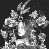 Whispering Glades_Nicole Dollanganger