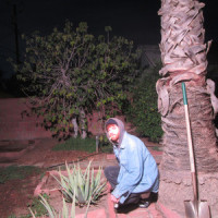 i get drunk everyday cuz i'm bored & i'm lonely_Field Medic