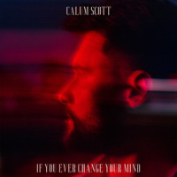 If You Ever Change Your Mind_Calum Scott