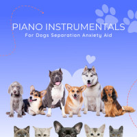 Pets love to dance_Pet Music Therapy,Pets Love Music,Piano Peace
