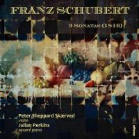 Violin Sonata in A Minor, Op. 137 No. 2, D. 385: II. Andante_Peter Sheppard Skærved,Julian Perkins