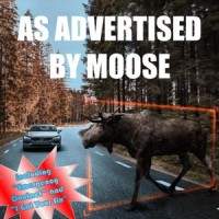 Meet Cute_Moose