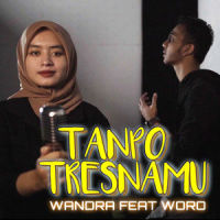 Tanpo Tresnamu(feat. Woro)_Wandra,WORO