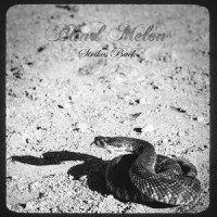 Strikes Back_Blind Melon