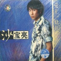 扫落叶的人_沙宝亮