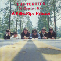 Lady O_The Turtles