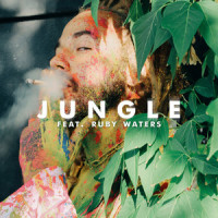 JUNGLE (feat. Ruby Waters)_DillanPonders,Ruby Waters
