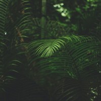 A Sound to Focus_Mother Nature Sound FX,Deep Sleep,Nature Sounds Nature Music