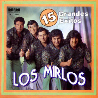 Ay, Vida De Mi Vida_Los Mirlos