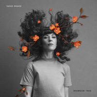 Redwood Tree_Jamie Drake