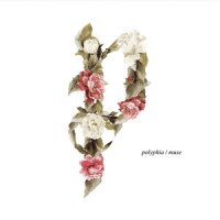 The Jungle_Polyphia,Jakub Żytecki