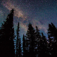 Bump - Ambient Version_The American Dollar