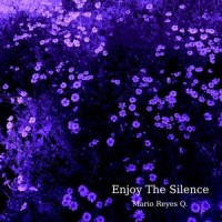 Enjoy The Silence_Mario Reyes Q.,Alejandro Reyes