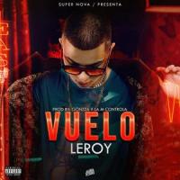 Vuelo_Leroy