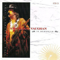 Mary Had a Little Lamb_Stevie Ray Vaughan
