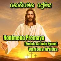 Nonimena Premeka(feat. Uresha Ravihari)_Kasun Kalhara,Uresha Ravihari