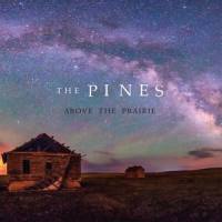 Hanging from the Earth_The Pines