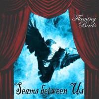 Thought It Through Clearly_Flaming Birds,Eric Douglas