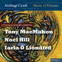 Bean Dubh An Ghleanna_Iarla Ó Lionáird,John Gibson