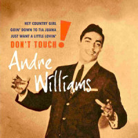 Bacon Fat_Andre Williams