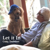 Let It In_Craig Taubman