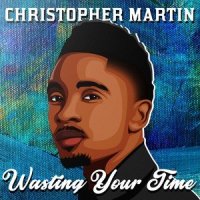 Wasting Your Time_Christopher Martin