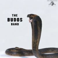 Nature's Wrath_The Budos Band