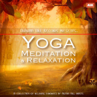 Canon_Kundalini: Yoga,Michael Silverman,Meditation,Relaxation
