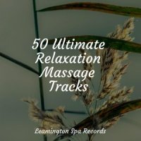 Anxiety Relief_Sleepy Times,White Noise Nature Sounds Baby Sleep,Academia de Música para Massagem e Relaxamento