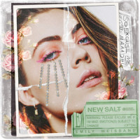 New Salt_Emily Weisband