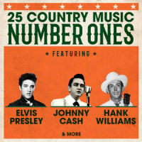 I Don't Hurt Anyone_Hank Snow