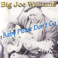 Don't The Apple Look Mellow_Big Joe Williams