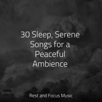 Peaceful Rainfall_Wellness,Relaxing Nature Music,Relaxed Minds