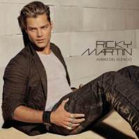 Besos De Fuego_Ricky Martin