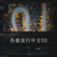 曾经的誓言_小山