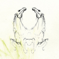 Disappear_My Brightest Diamond